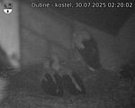 Capi_Dubne_20250730_022002.jpg