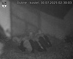 Capi_Dubne_20250730_023003.jpg