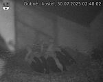 Capi_Dubne_20250730_024002.jpg