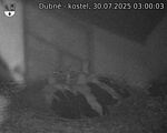 Capi_Dubne_20250730_030003.jpg