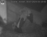 Capi_Dubne_20250730_031002.jpg