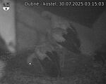 Capi_Dubne_20250730_031503.jpg