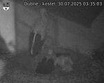 Capi_Dubne_20250730_033503.jpg
