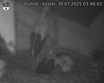 Capi_Dubne_20250730_034002.jpg