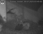 Capi_Dubne_20250730_034502.jpg
