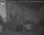 Capi_Dubne_20250730_040503.jpg