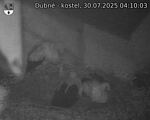 Capi_Dubne_20250730_041003.jpg
