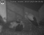 Capi_Dubne_20250730_043502.jpg