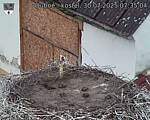 Capi_Dubne_20250730_073504.jpg