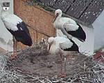 Capi_Dubne_20250730_102003.jpg