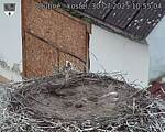 Capi_Dubne_20250730_105504.jpg