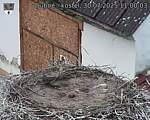 Capi_Dubne_20250730_110003.jpg
