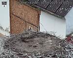 Capi_Dubne_20250730_110503.jpg