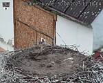Capi_Dubne_20250730_111004.jpg