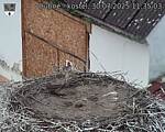 Capi_Dubne_20250730_113503.jpg