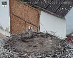 Capi_Dubne_20250730_114003.jpg
