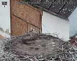 Capi_Dubne_20250730_115503.jpg