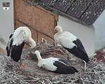 Capi_Dubne_20250730_135503.jpg