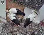 Capi_Dubne_20250730_140503.jpg
