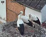 Capi_Dubne_20250730_144004.jpg