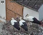 Capi_Dubne_20250730_145503.jpg