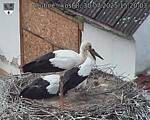 Capi_Dubne_20250730_152003.jpg