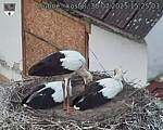 Capi_Dubne_20250730_152503.jpg