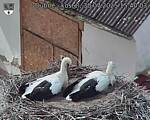 Capi_Dubne_20250730_154003.jpg
