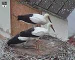 Capi_Dubne_20250730_160502.jpg