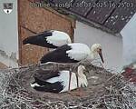 Capi_Dubne_20250730_162503.jpg