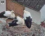 Capi_Dubne_20250730_165003.jpg