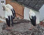 Capi_Dubne_20250730_175004.jpg