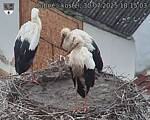 Capi_Dubne_20250730_181503.jpg