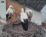 Capi_Dubne_20250730_182503.jpg