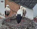 Capi_Dubne_20250730_183003.jpg