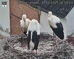 Capi_Dubne_20250730_185003.jpg