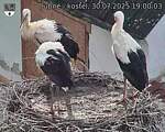 Capi_Dubne_20250730_190003.jpg
