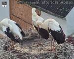Capi_Dubne_20250730_192003.jpg
