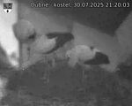Capi_Dubne_20250730_212003.jpg