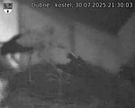 Capi_Dubne_20250730_213003.jpg