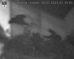Capi_Dubne_20250730_213503.jpg