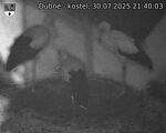 Capi_Dubne_20250730_214003.jpg
