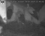 Capi_Dubne_20250730_214502.jpg