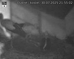 Capi_Dubne_20250730_215502.jpg