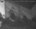 Capi_Dubne_20250730_220002.jpg