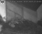 Capi_Dubne_20250730_221003.jpg