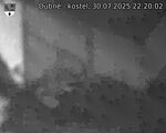 Capi_Dubne_20250730_222002.jpg