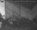Capi_Dubne_20250730_222502.jpg