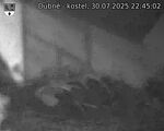 Capi_Dubne_20250730_224502.jpg
