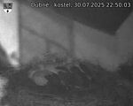 Capi_Dubne_20250730_225003.jpg